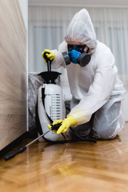 Best Commercial Pest Control  in Villisca, IA